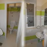 Hostel Backpackers