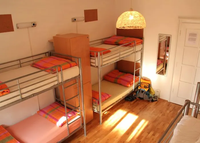 Hostel Backpackers